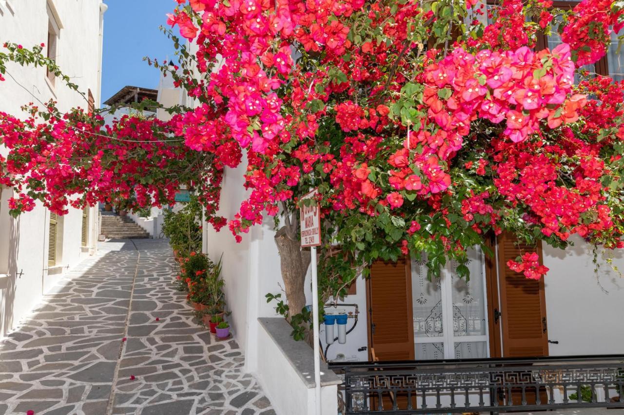 Maria Apartmán Naxos City